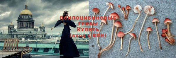 дживик Балахна
